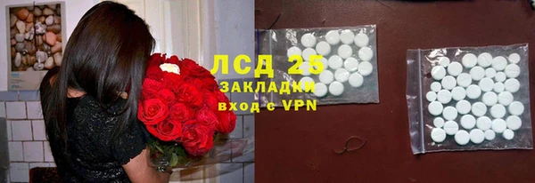 стафф Аркадак