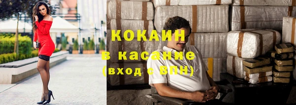стафф Аркадак